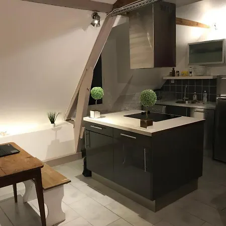 Apartamento Le Coeur Des Ducs Centre Ville