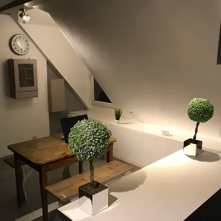 Le Coeur Des Ducs Centre Ville Apartamento Dijon